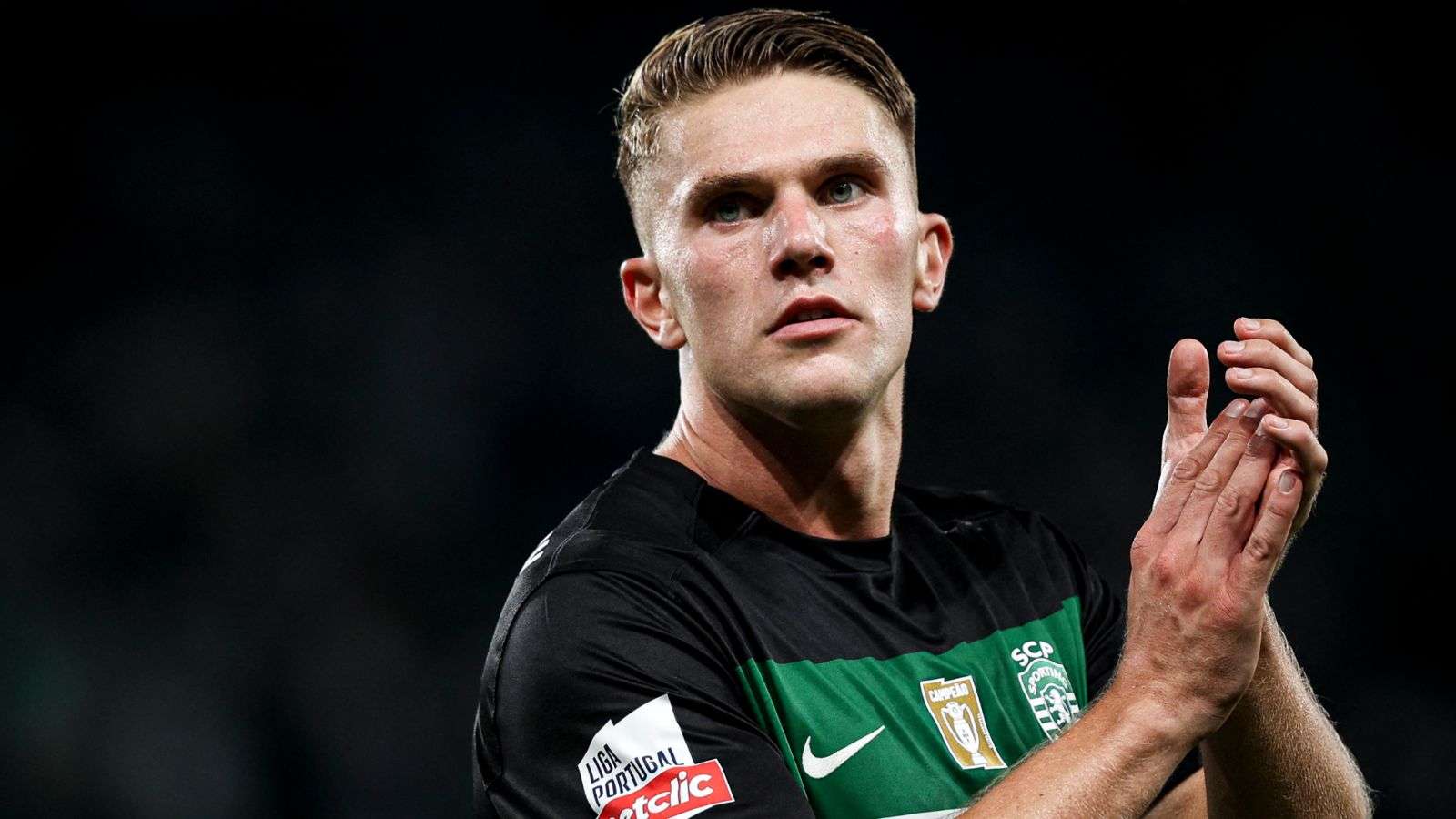 这种极致的 这种极致的